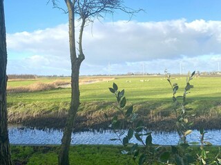 Holiday house Burgerbrug Outdoor Recording 23