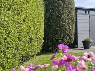 Casa de vacaciones Sint Maartenszee Grabación al aire libre 9
