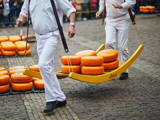 Vakantiepark Medemblik Omgeving 6