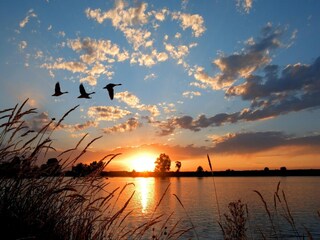 Vakantiepark Medemblik Omgeving 8