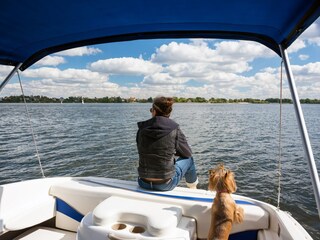 Parc de vacances Medemblik Environnement 9