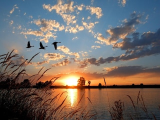 Ferienpark Medemblik Umgebung 24