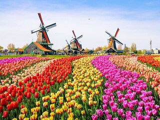 Vakantiepark Medemblik Omgeving 12