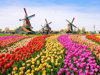 Vakantiepark Medemblik Omgeving 11