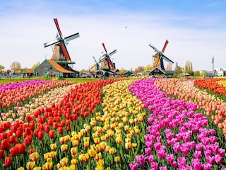 Ferienpark Medemblik Umgebung 9