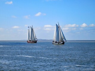 Parque de vacaciones Medemblik Entorno 15