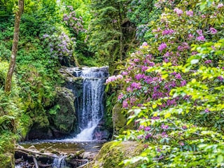 Landscape in the area