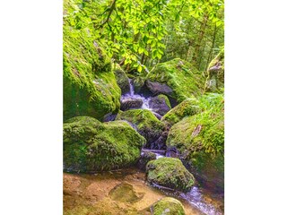 Appartamento per vacanze Bühl Ambiente 28