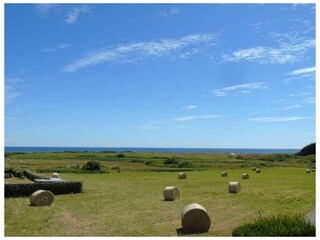 Blick aufs Meer vom Garten