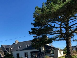 Das Steinhaus mit der Terrasse