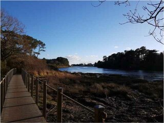 Ferienhaus Lesconil Umgebung 31