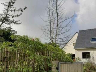 Der Garten, mit Bamboos abgeschirmt