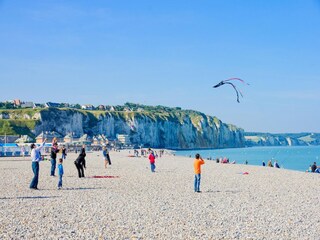Appartement Saint-Antoine-la-Forêt Environnement 17