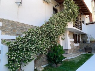 Appartement Agios Nikolaos (Sithonia) Buitenaudio-opname 1