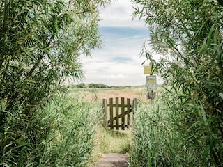 Bungalow Callantsoog Umgebung 23