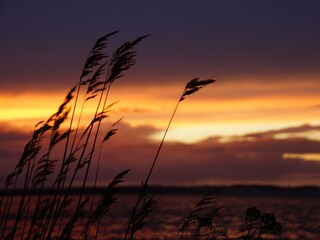 Sonnenuntergänge am Wasser erleben