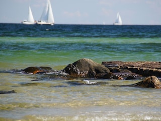 Strandaussichten - direkt vor der Tür