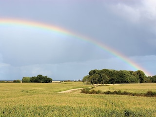 der Ostsee ganz nah...