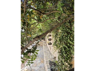 One part of the terraces