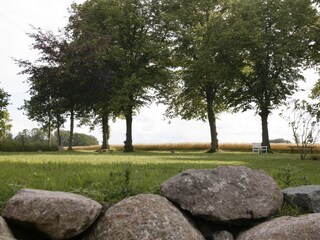 Holiday house Heringsdorf (Ostholstein) Outdoor Recording 3