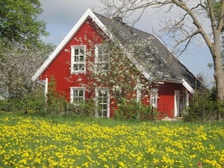 Seitenansicht