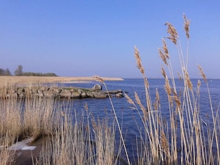 Blick vom Hafen