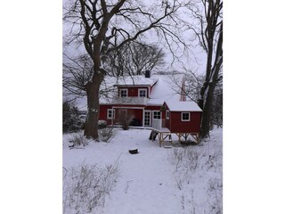 im Winter