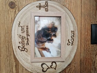 unser Hund - gestorben 03-2023