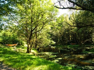 Gutswald Hängematten