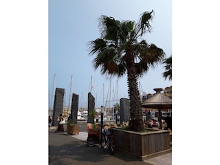 Teilansicht Yachthafen