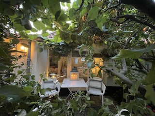 Cottage Zandvoort Außenaufnahme 1