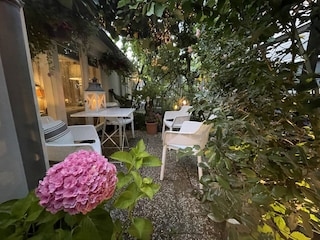 Cottage Zandvoort Außenaufnahme 2