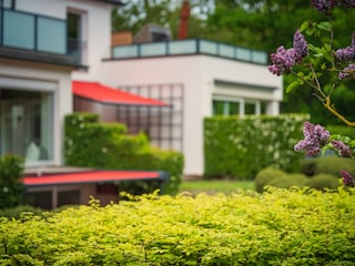 Unser Garten