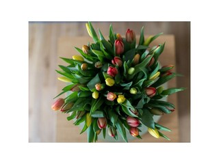 Ferienwohnung Norddeich Ausstattung 22