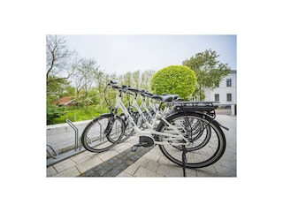 E-Bikes zum leihen