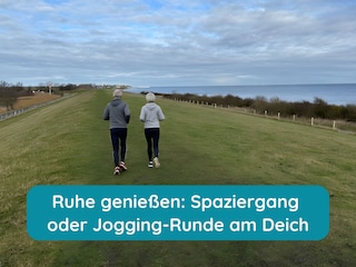 Deich bei Marienleuchte