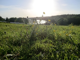 Landschaft Leuengarten