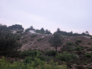 Dünen