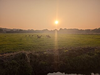 polder