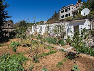 Apartment Dubrovnik Outdoor Recording 2