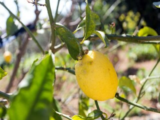 Appartement Dubrovnik Enregistrement extérieur 1