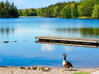 Maison de vacances Ingarö  19