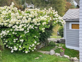 Ferienhaus Blaksæter Außenaufnahme 10