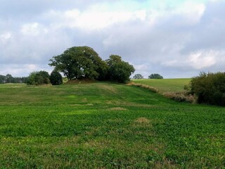 Apartment Svaneke  12