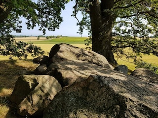 Apartment Svaneke  14