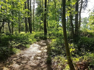 Apartment Svaneke  21