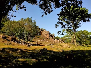 Apartment Svaneke  24