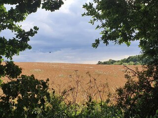 Appartement Svaneke  16