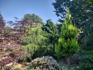 Appartamento Svaneke  21