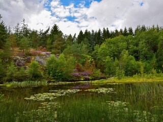 Appartement Svaneke  25